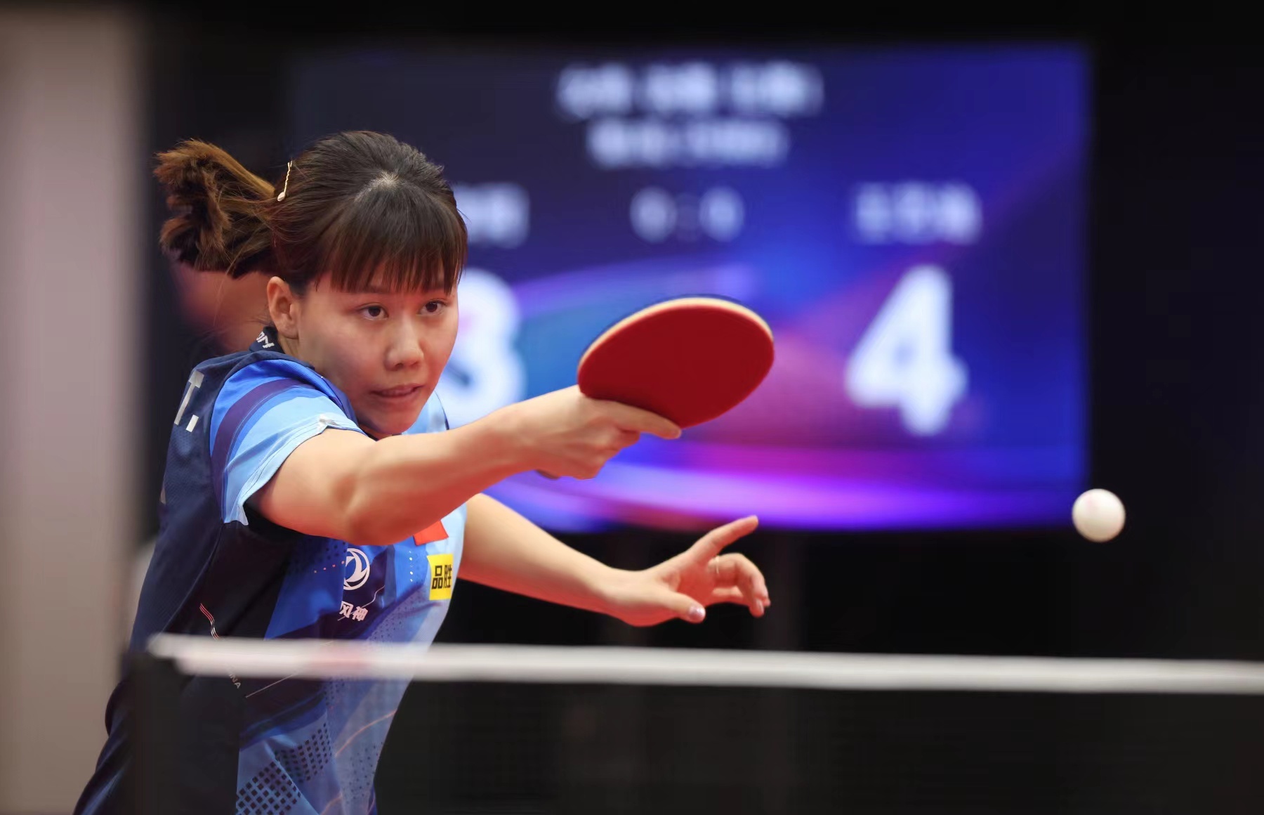 机会极高 机会极高