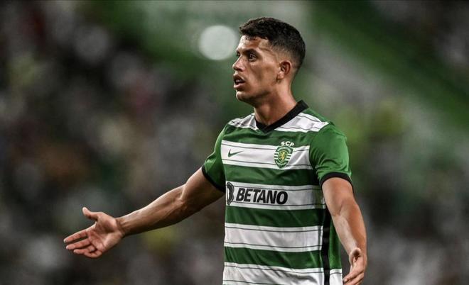 能够精准预 能够精准预