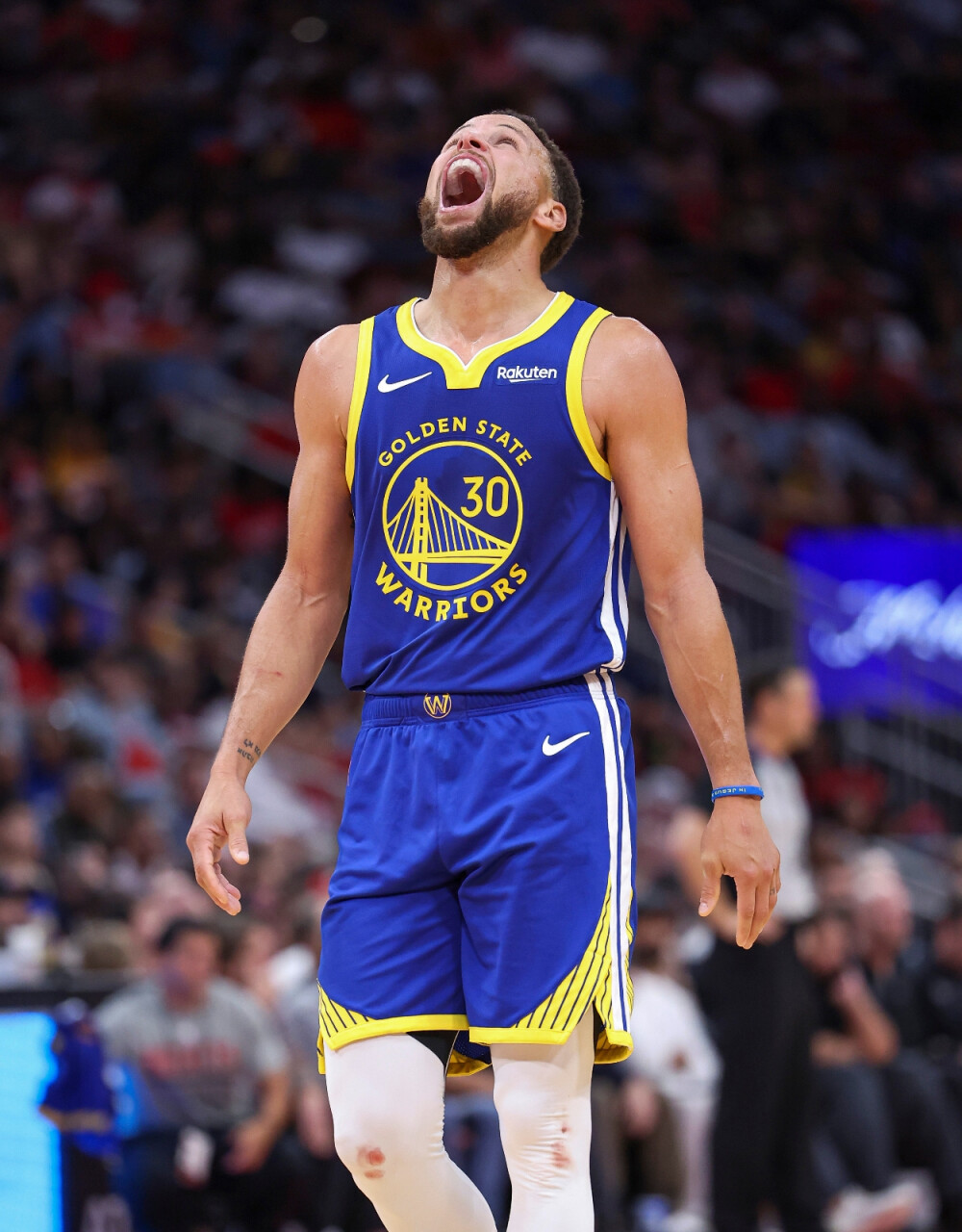 绝佳的展示 绝佳的展示