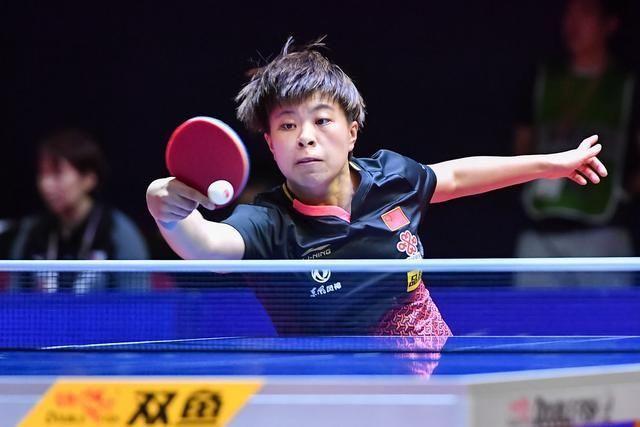 全新的高度 全新的高度