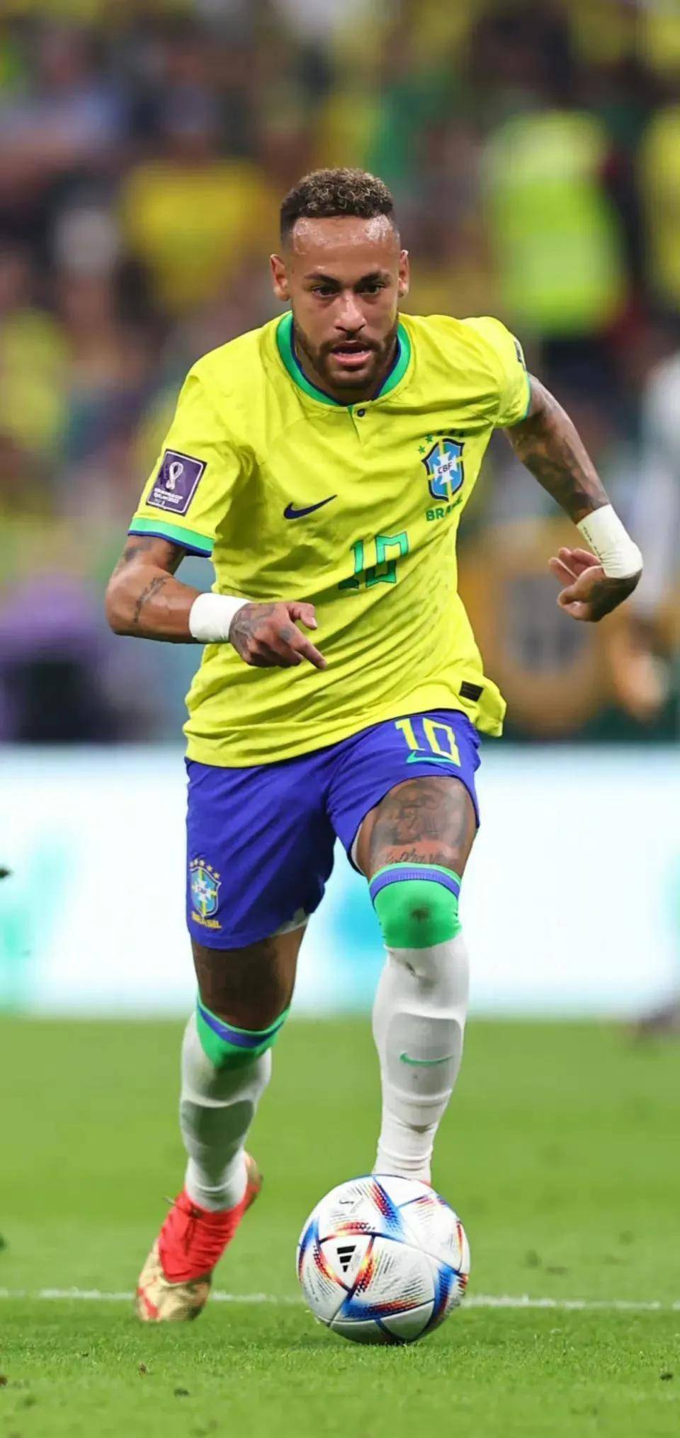 教练席延伸 教练席延伸